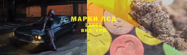 соль ск Кодинск