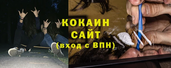 соль ск Кодинск